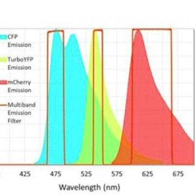 Alexa Fluor系列熒光染料濾光片產(chǎn)品特點